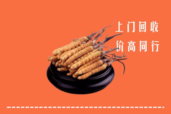 高价求购：凉山州冕宁县回收散虫草