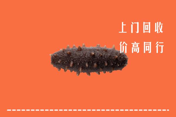 高价求购：凉山州冕宁县回收海参