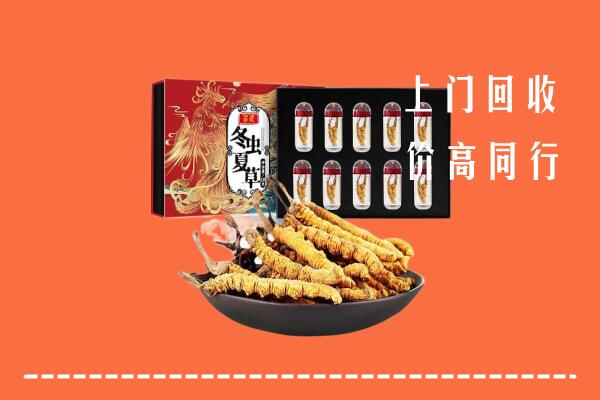 凉山州冕宁县回收虫草